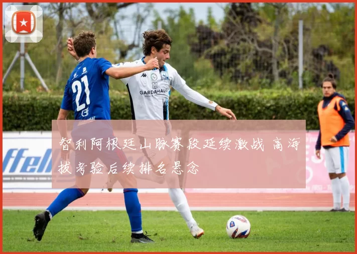 智利阿根廷山脉赛段延续激战 高海拔考验后续排名悬念