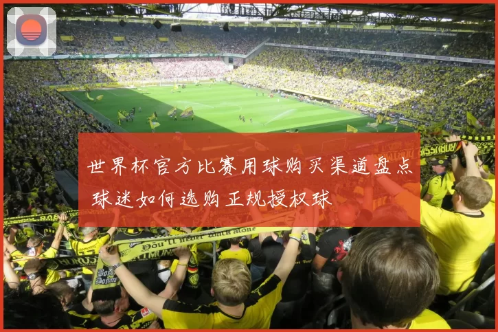 世界杯官方比赛用球购买渠道盘点 球迷如何选购正规授权球
