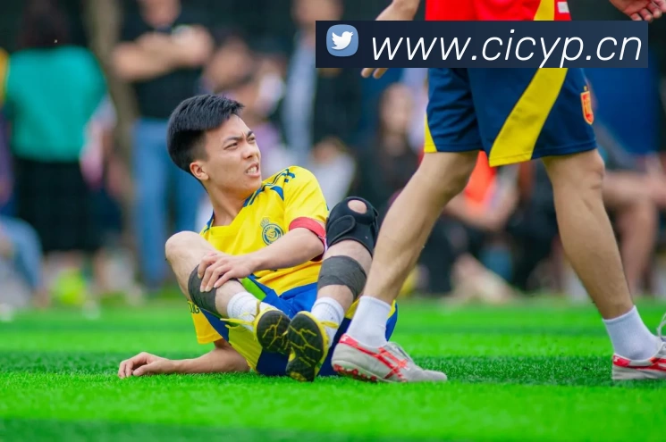 多媒体互动体验